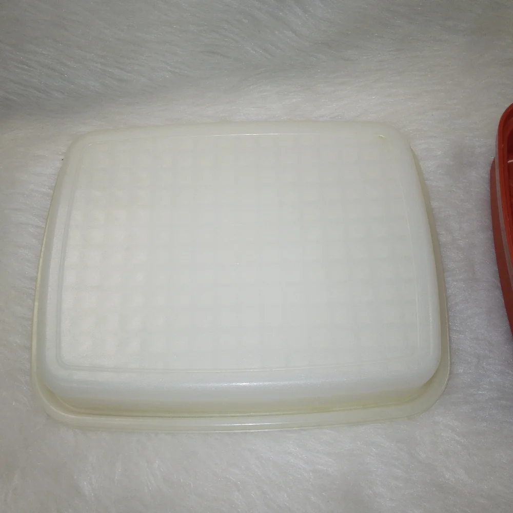 TUPPERWARE 1518-3 Season Serve meat Marinator